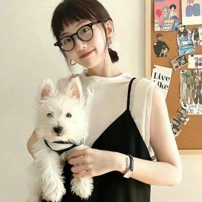 杂家高手